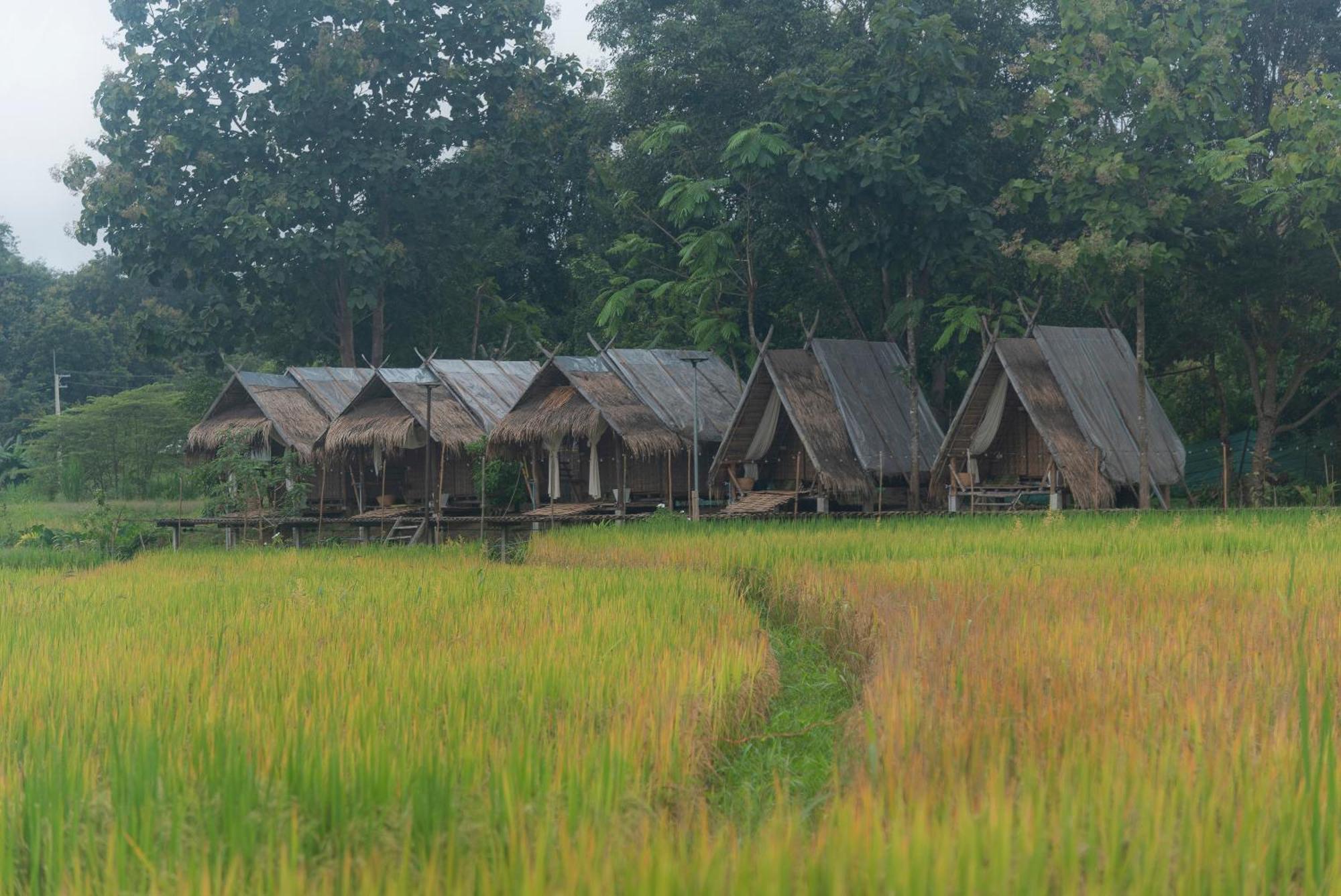 Paddy Fields Haven - Natures Nest Pai Exteriér fotografie