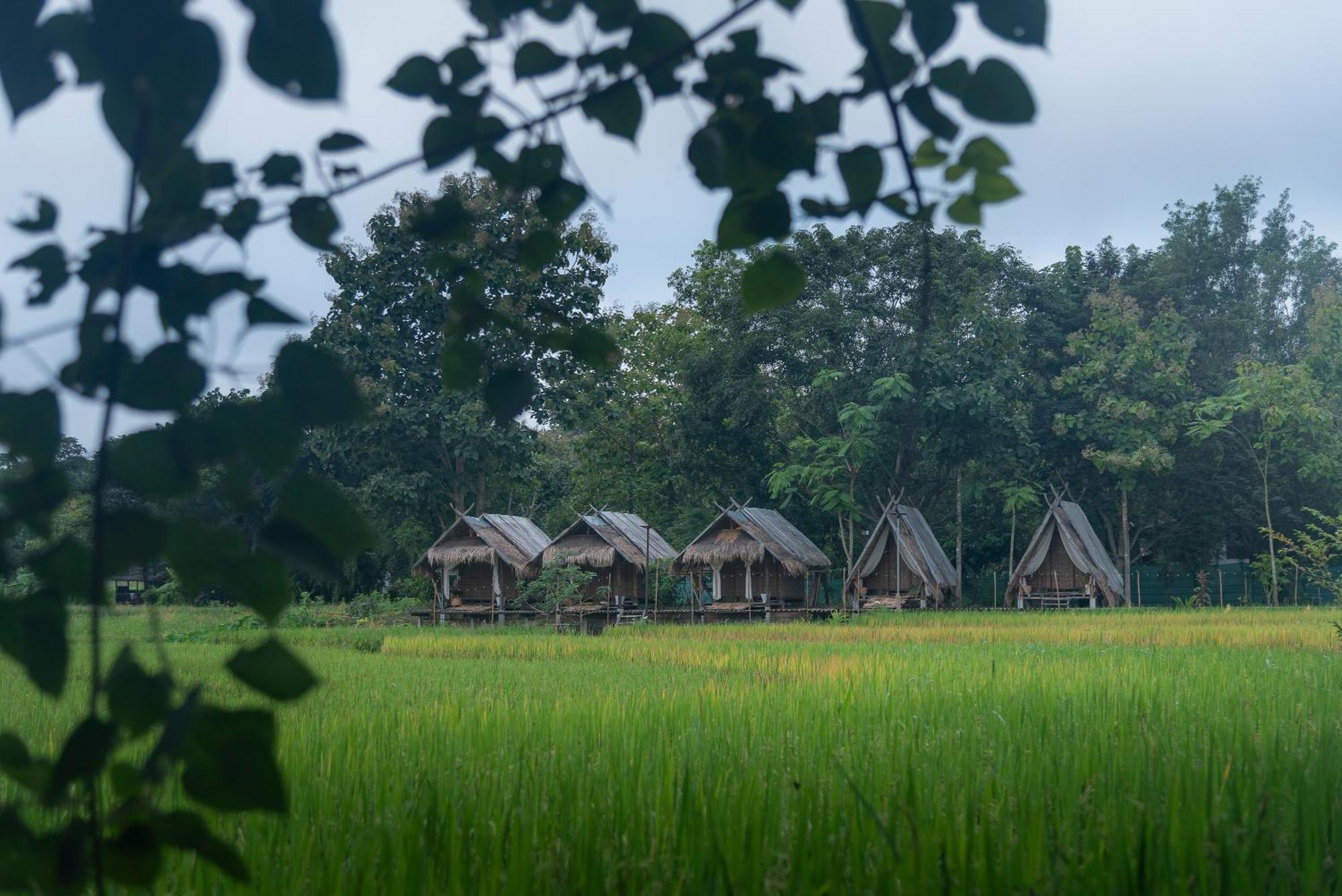 Paddy Fields Haven - Natures Nest Pai Exteriér fotografie