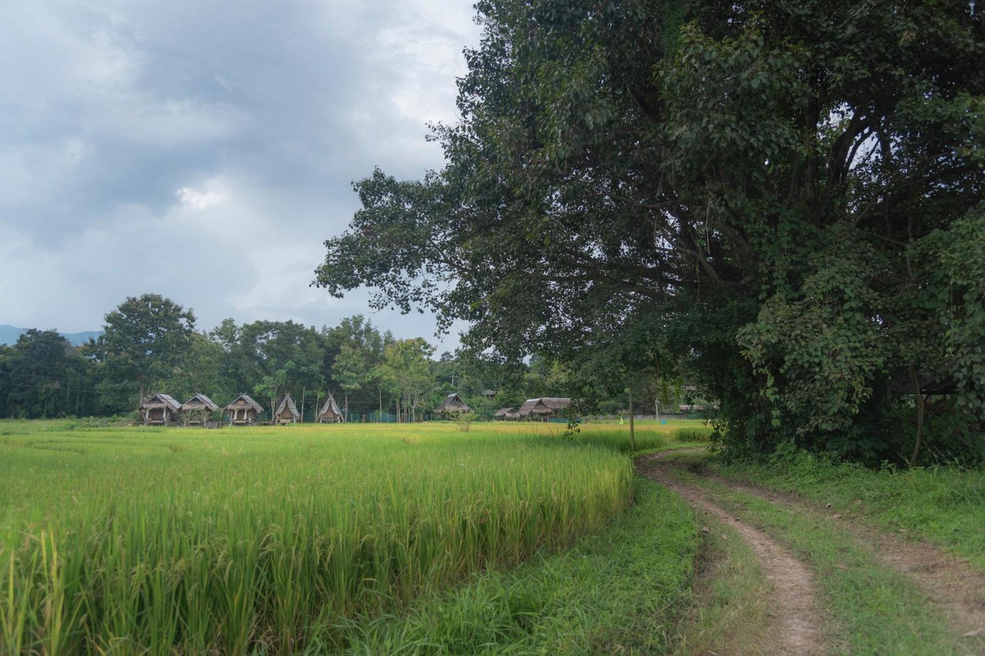 Paddy Fields Haven - Natures Nest Pai Exteriér fotografie