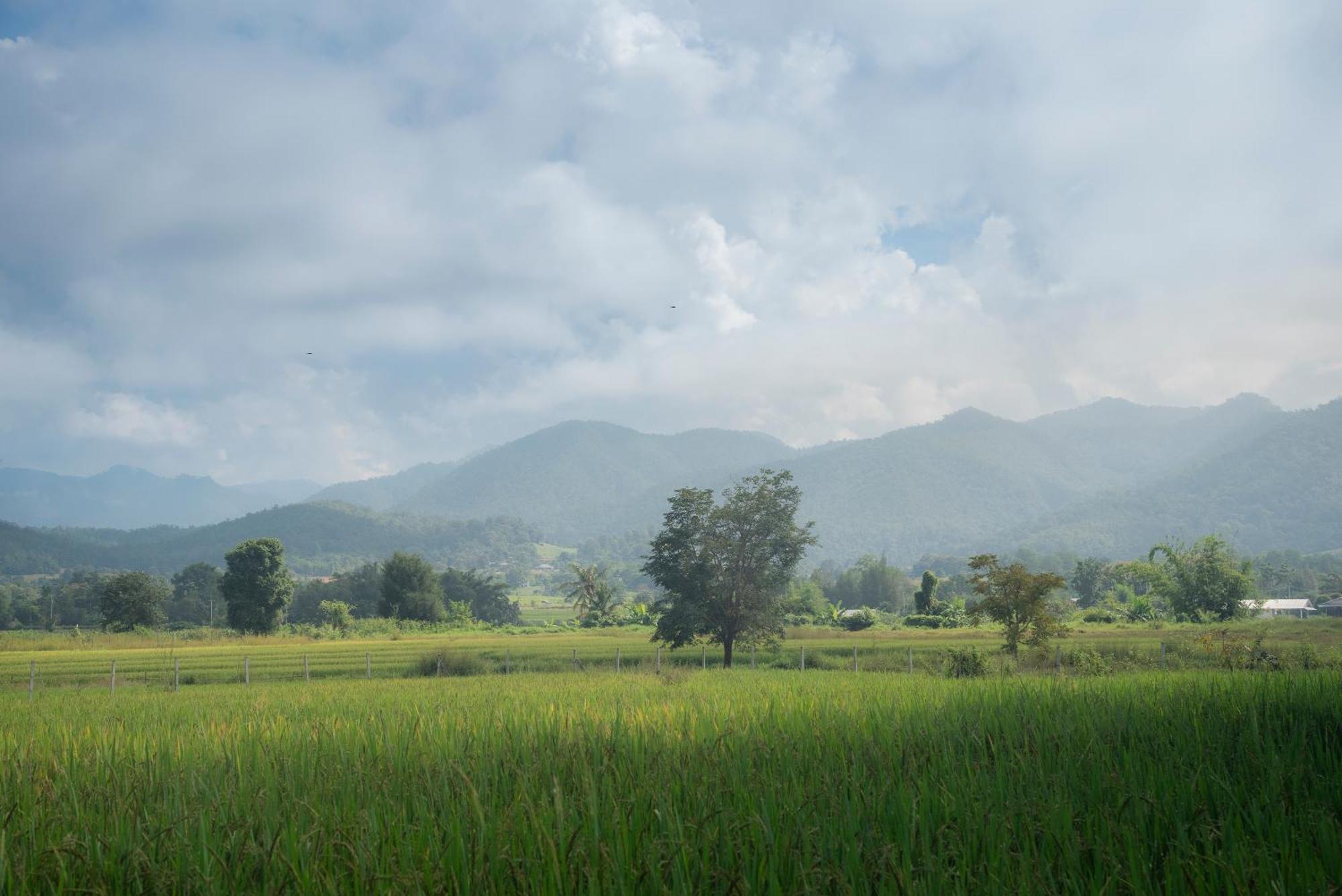 Paddy Fields Haven - Natures Nest Pai Exteriér fotografie