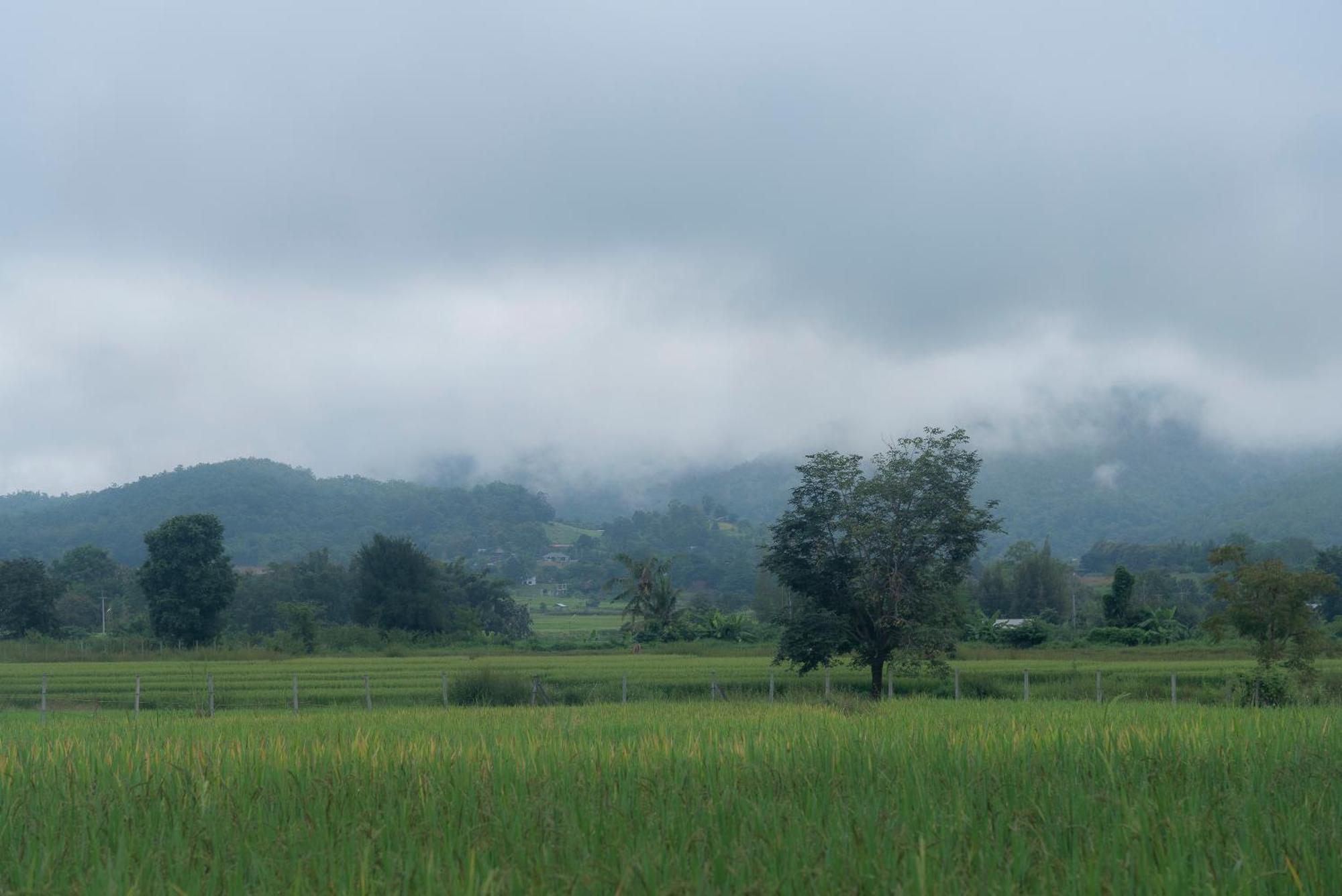 Paddy Fields Haven - Natures Nest Pai Exteriér fotografie