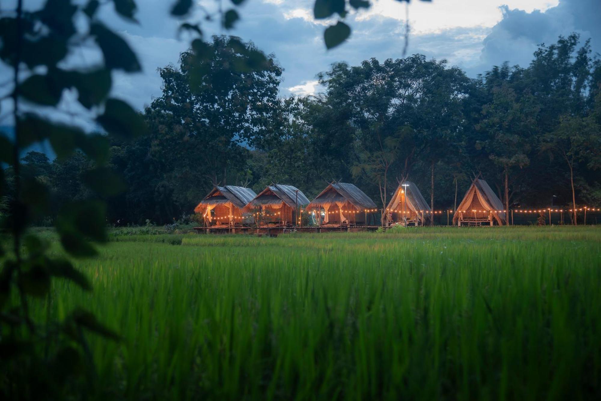 Paddy Fields Haven - Natures Nest Pai Exteriér fotografie