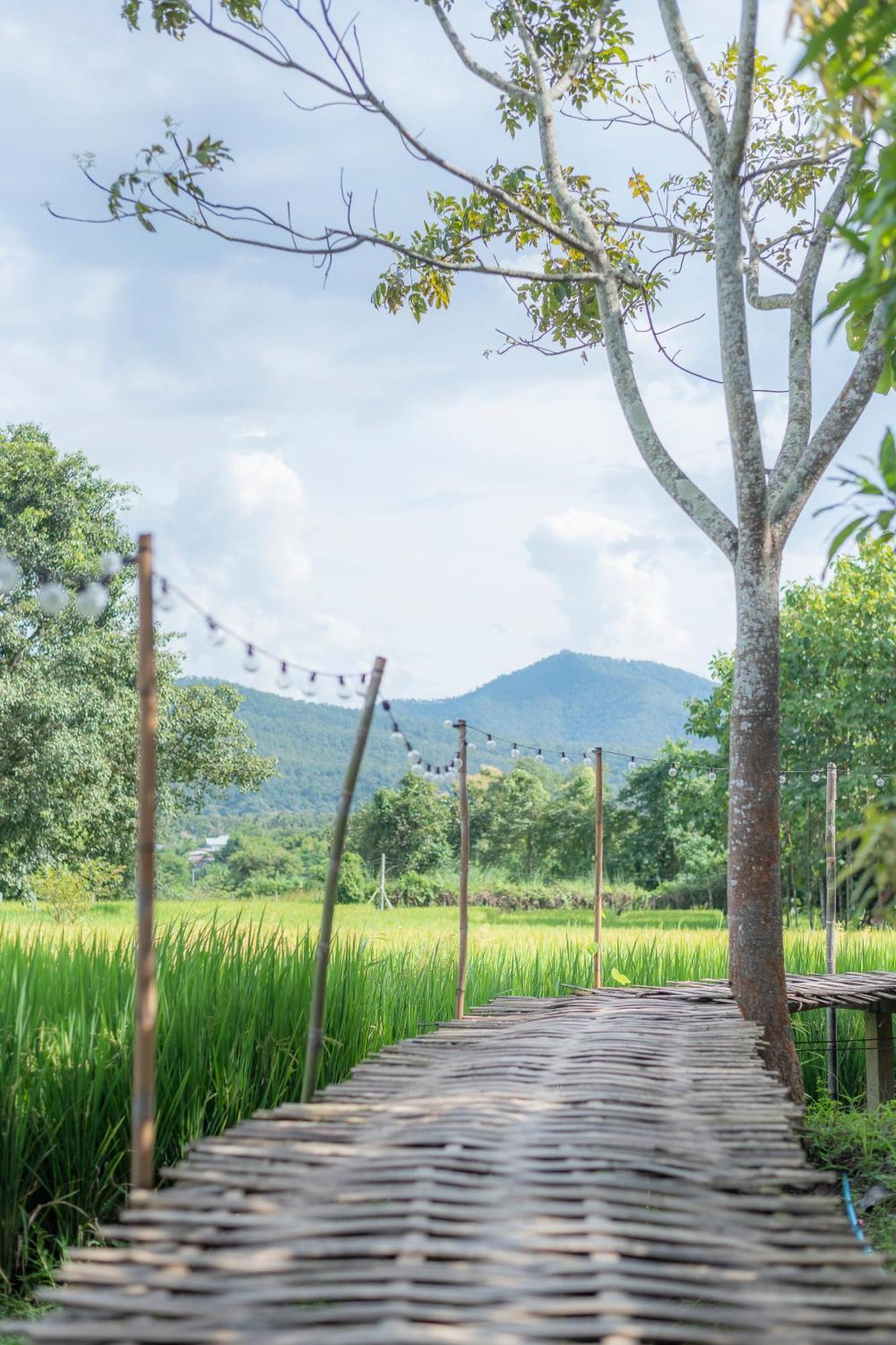 Paddy Fields Haven - Natures Nest Pai Exteriér fotografie