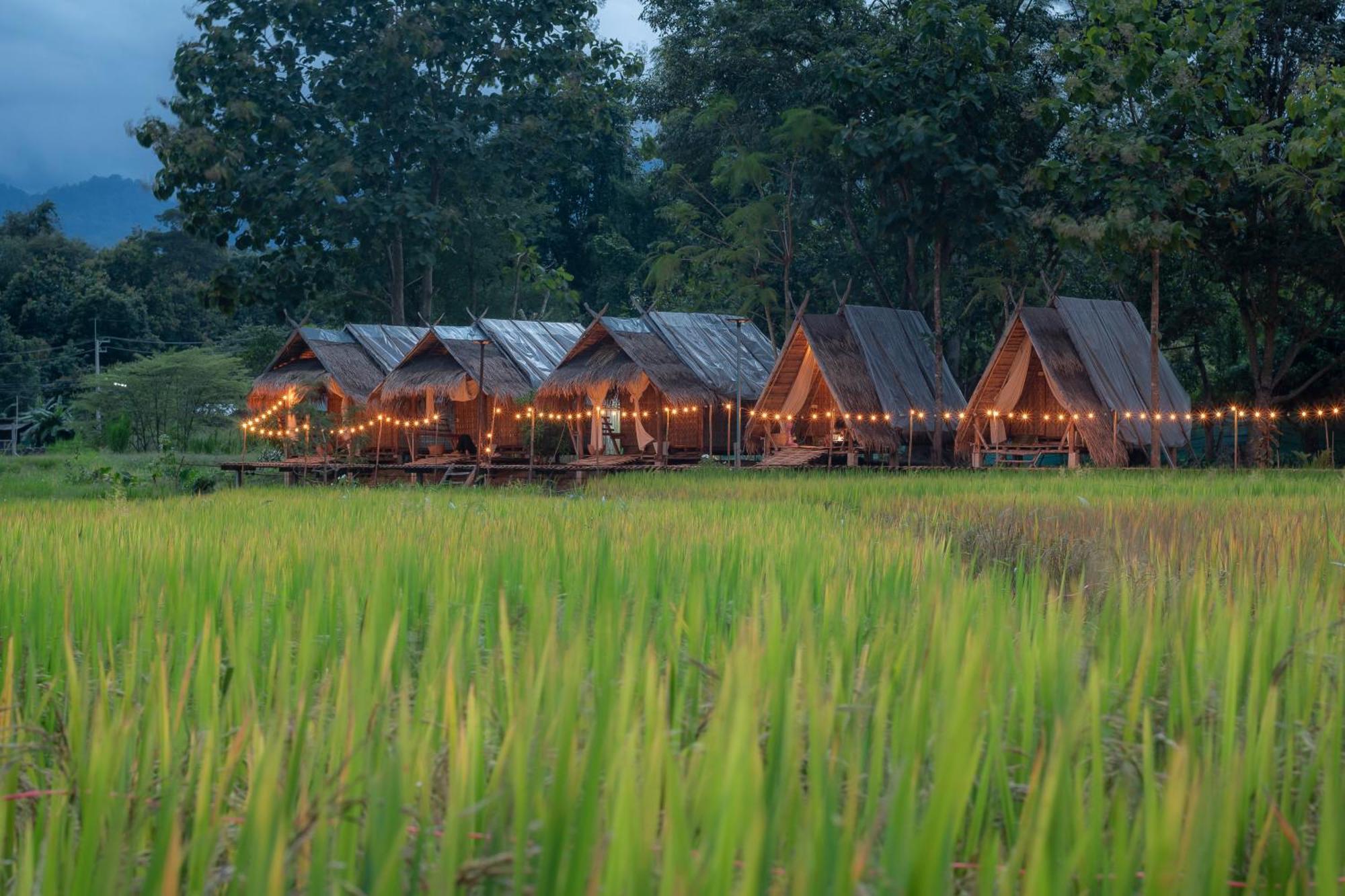 Paddy Fields Haven - Natures Nest Pai Exteriér fotografie